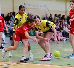 Szkoła Podstawowa nr 33 z dwoma tytułami Mistrzów Gdańska